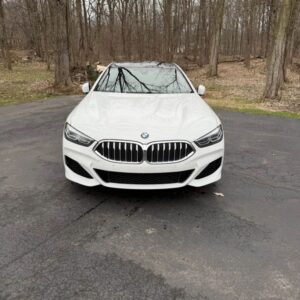 2022 BMW 8 Series